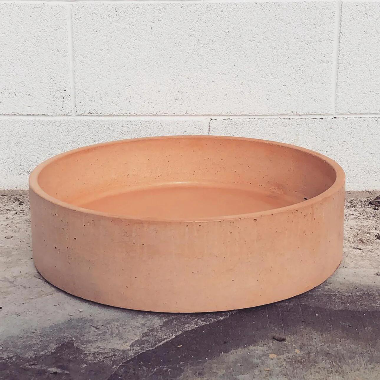 Do Plants Grow Well in Concrete Pots? Pros and Cons Explained