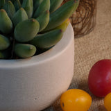 4 inch Catch-All Trays