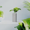Gray Concrete Vase | Tall Modern Floor Vase for Living Room Decor | Frame