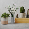 Concrete Vase