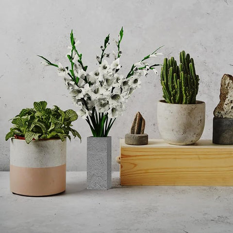 Concrete Vase