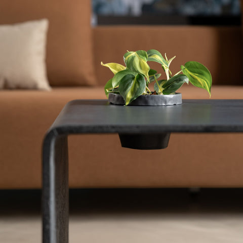 Living Room Coffee Concrete Table